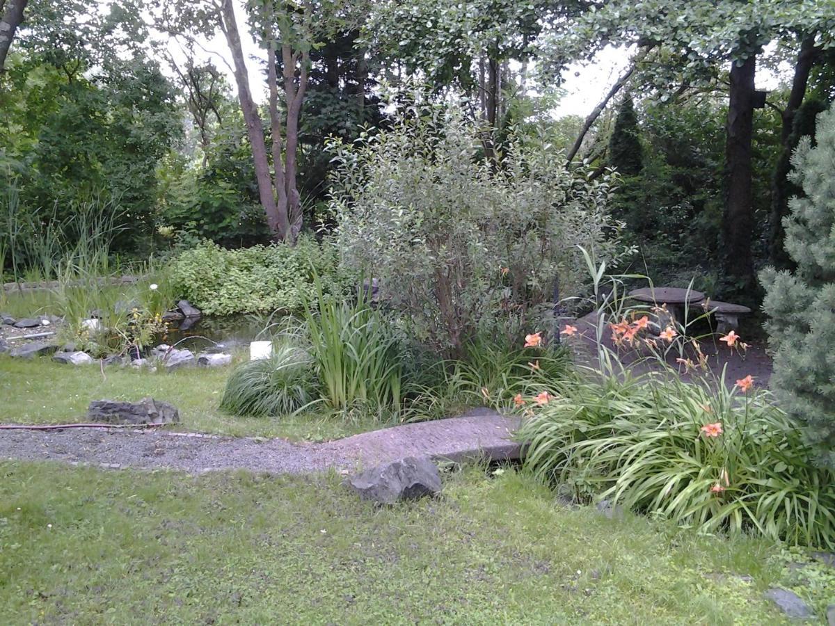 Seebach Vermietung Weisendorf Extérieur photo